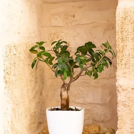 Vincent Luxury Frühstückspension